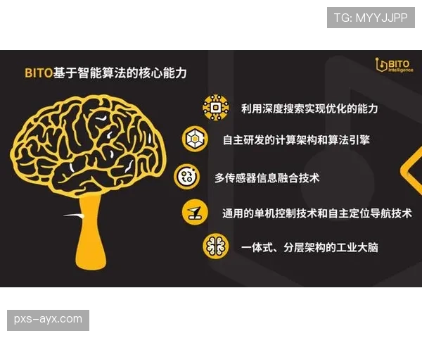 布鲁诺技术赋能智能制造新纪元，助力行业竞争力稳步提升